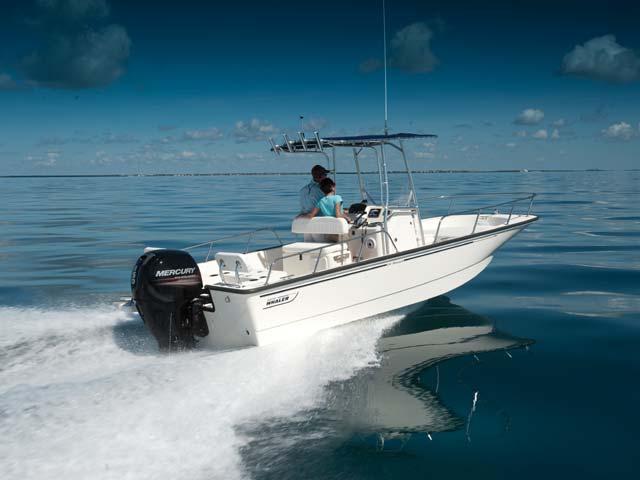 Boston Whaler 210 Montauk