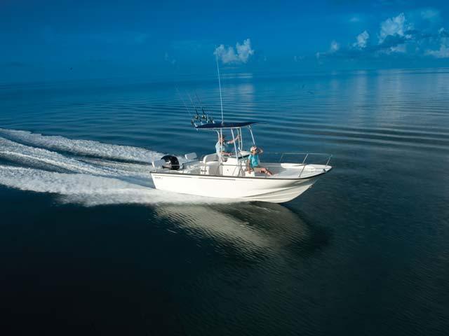 Boston Whaler 210 Montauk
