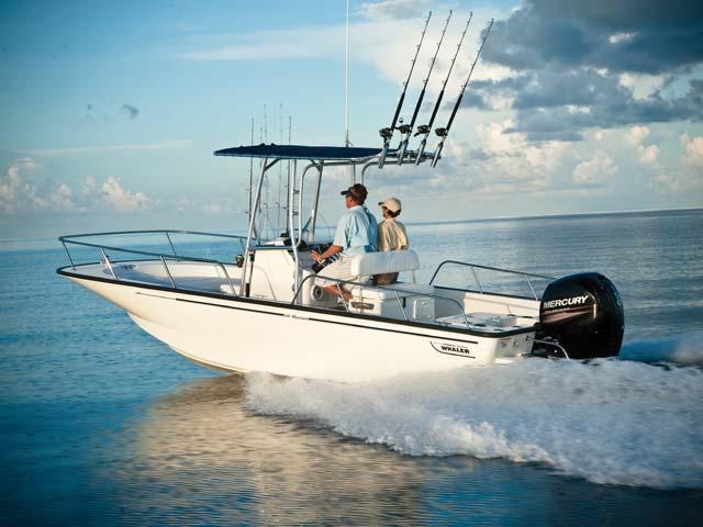Boston Whaler 210 Montauk