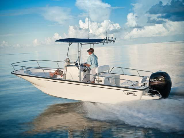 Boston Whaler 210 Montauk