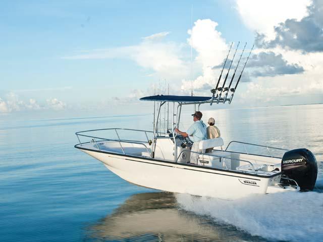 Boston Whaler 210 Montauk