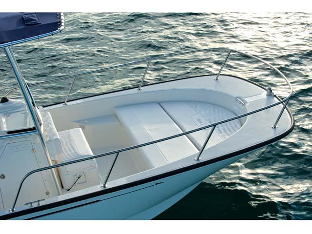 Boston Whaler 210 Montauk