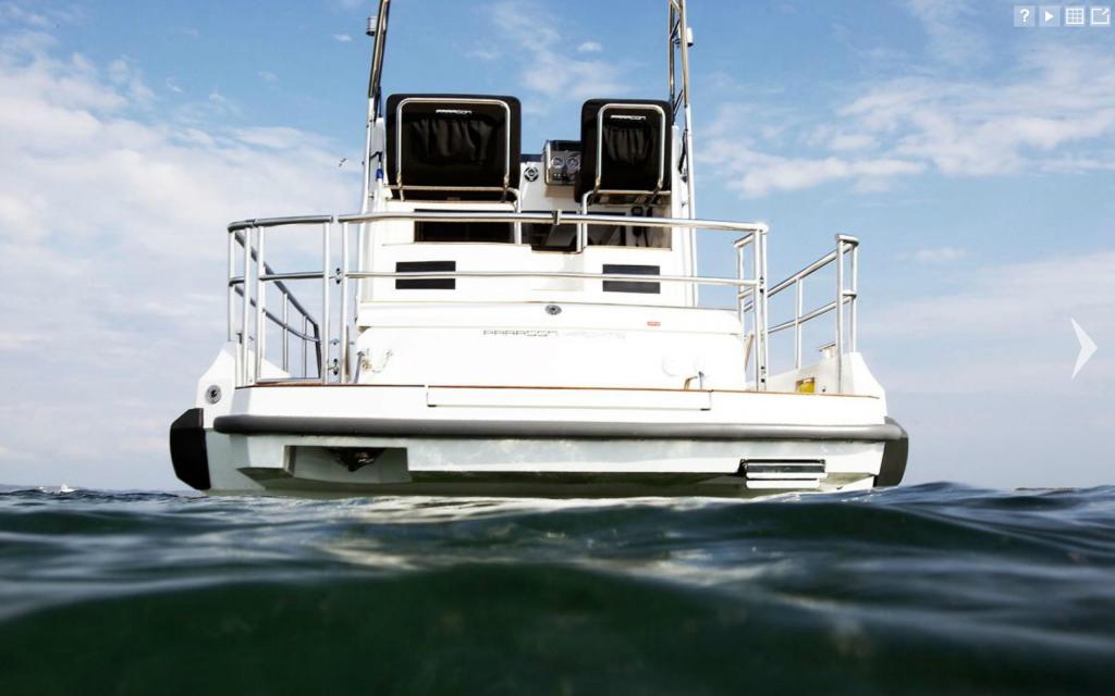 Paragon 31 Flybridge