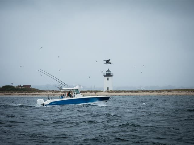Boston Whaler 330 Outrage
