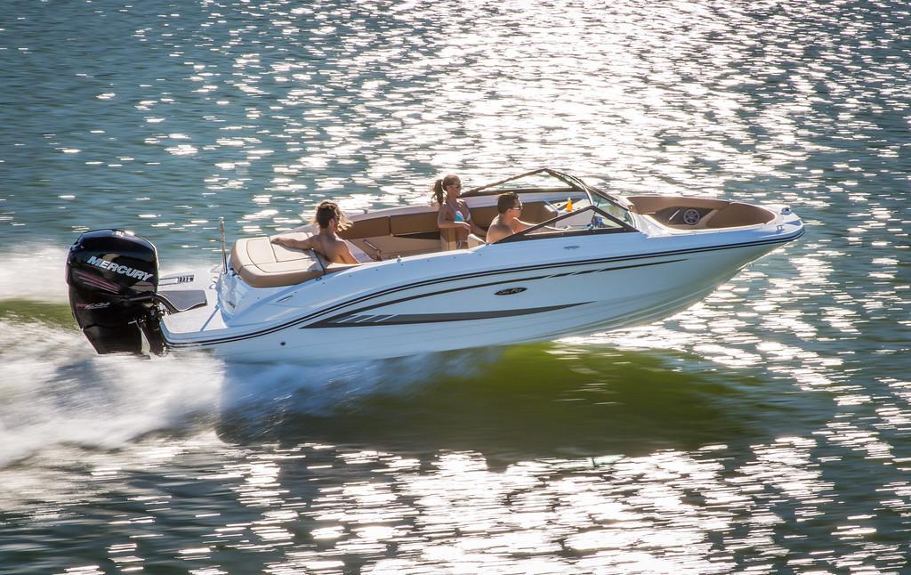 Sea Ray SPX 210 OB