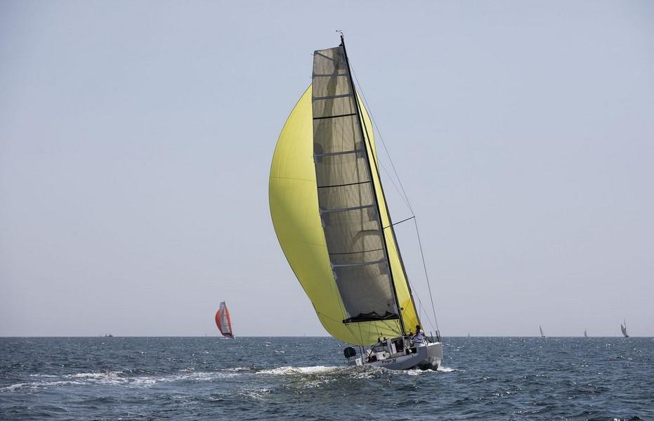 Pogo 36