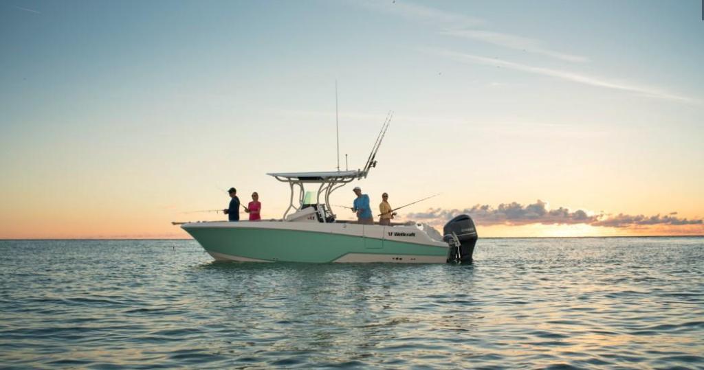 Wellcraft 262 Fisherman