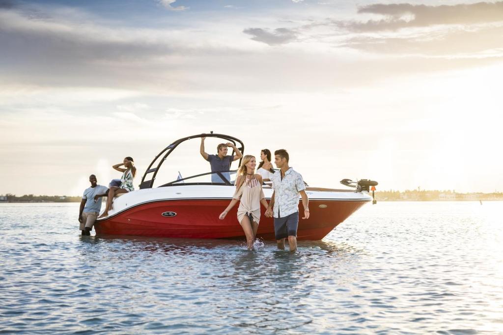 Sea Ray SPX 230 OB