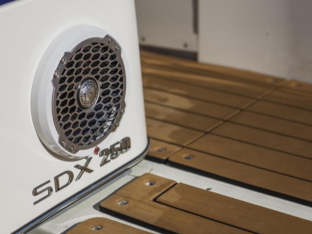 Sea Ray Sport Boat 250 SDX