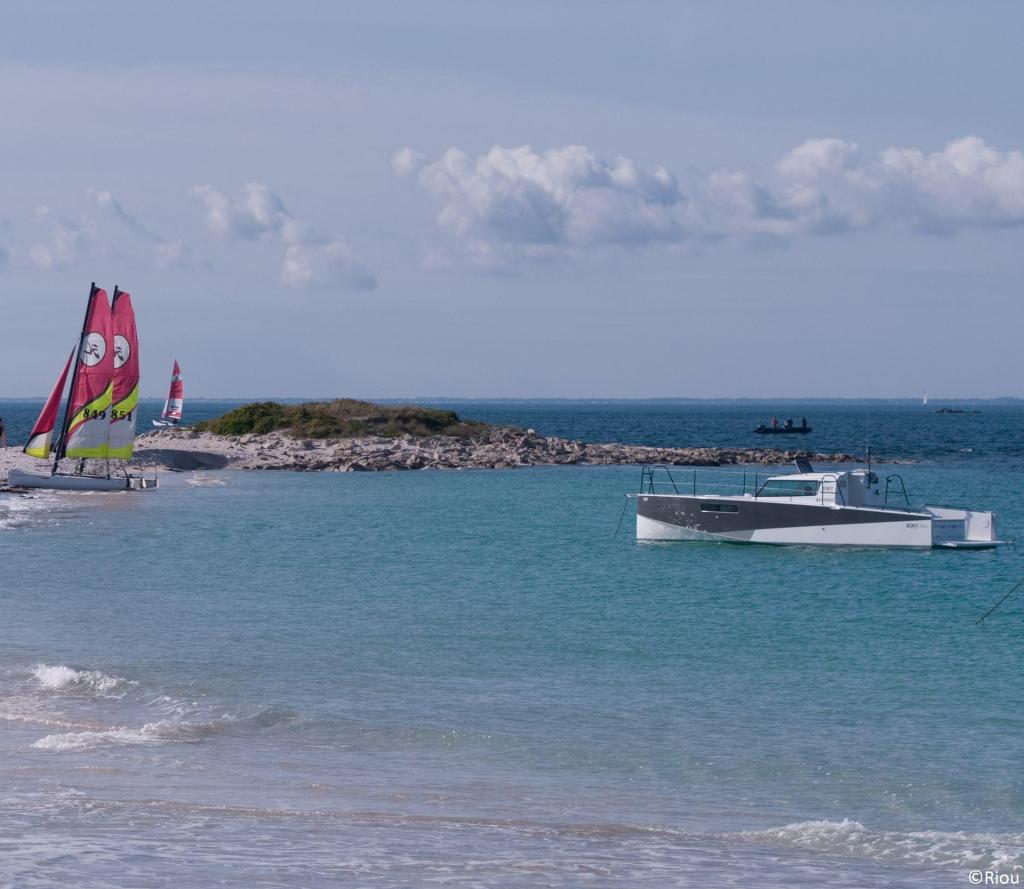 Pogo Loxo 32 Hors-Bord