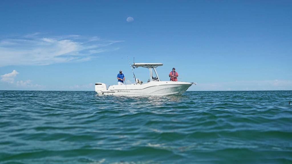 Crownline Finseeker 230 CC