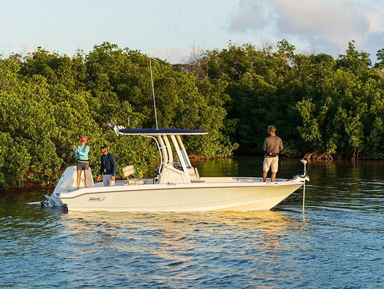 Boston Whaler 220 Dauntless