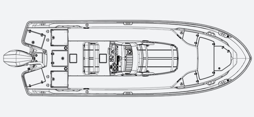 mise en page Boston Whaler 250 Dauntless