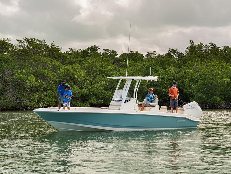 Boston Whaler 250 Dauntless