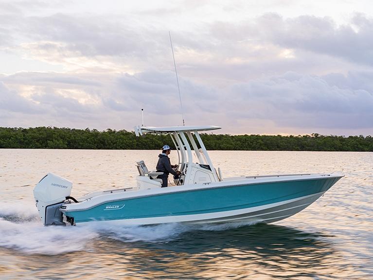 Boston Whaler 250 Dauntless