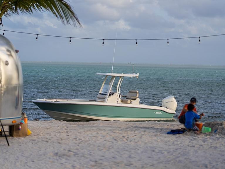 Boston Whaler 250 Dauntless