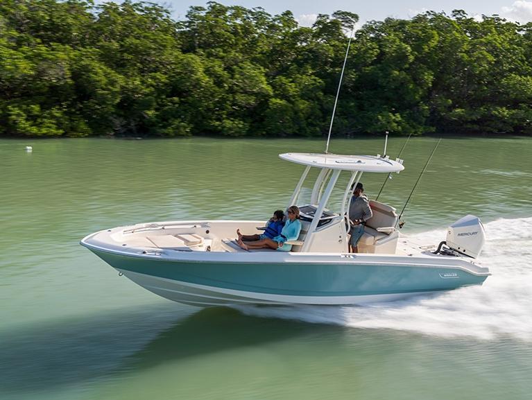 Boston Whaler 250 Dauntless