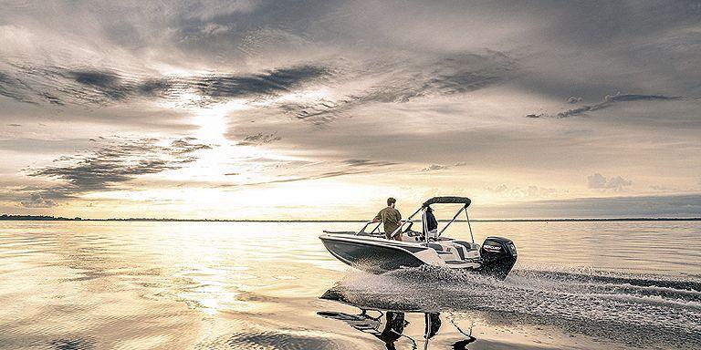 Bayliner Element M17