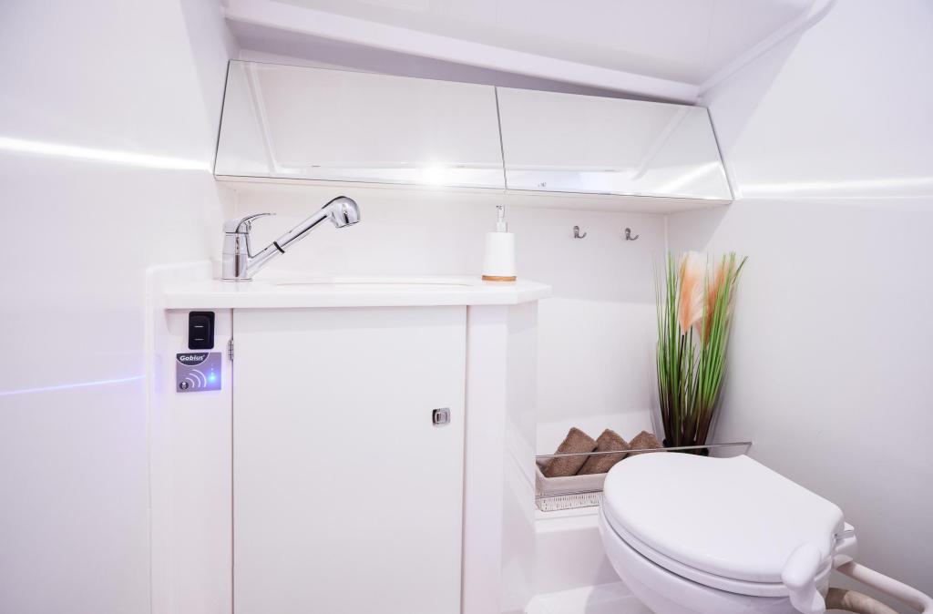 Northman Maxus 34