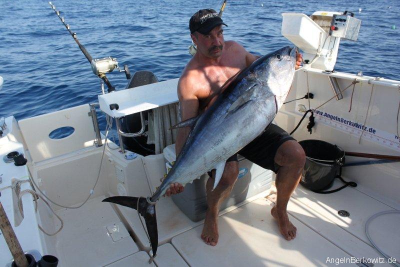 Parker 660 Pilothouse