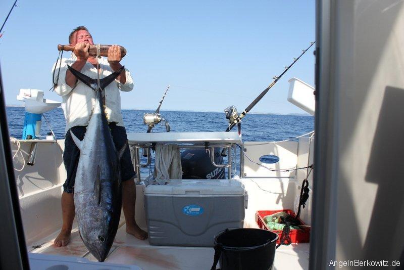 Parker 660 Pilothouse