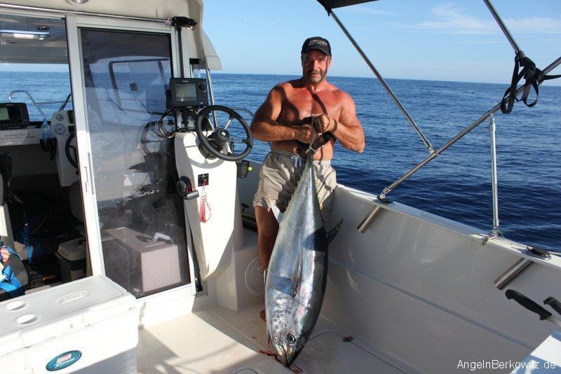 Parker 660 Pilothouse