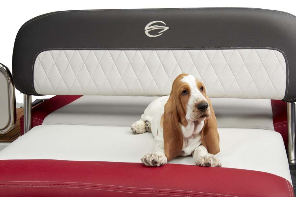 Crownline 280 SS Surf