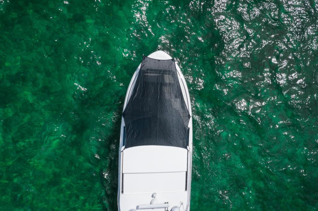 Regal LS36