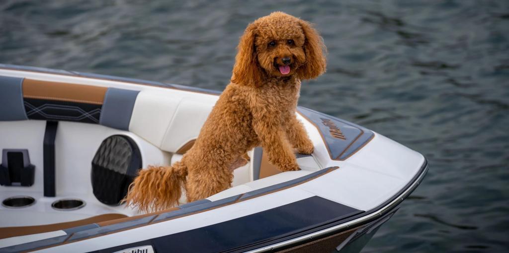 Malibu Wakesetter 26 LSV