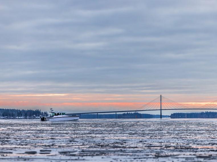 Axopar 29 XC Cross Cabin