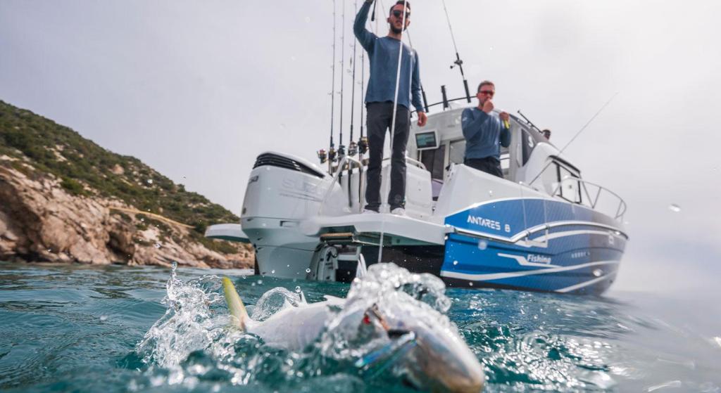 Beneteau Antares 8 Fishing