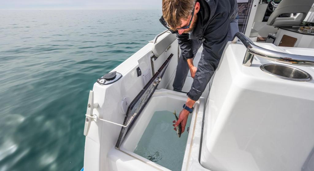 Beneteau Antares 8 Fishing