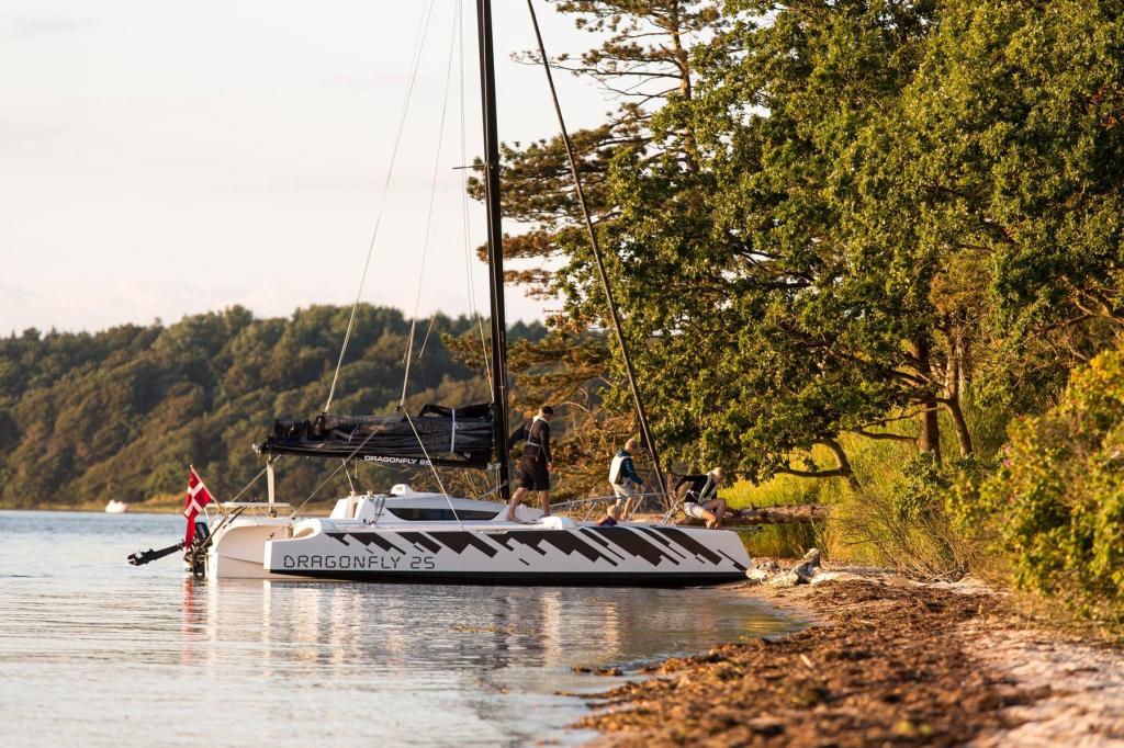 Dragonfly 25