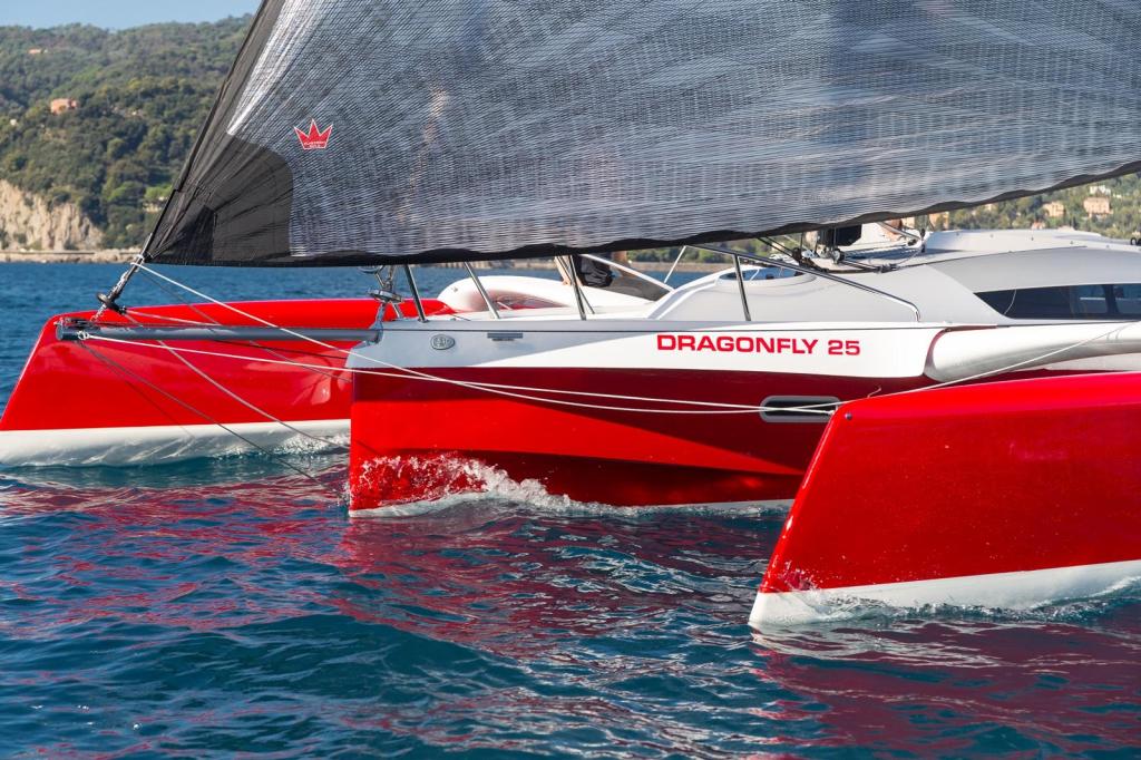 Dragonfly 25