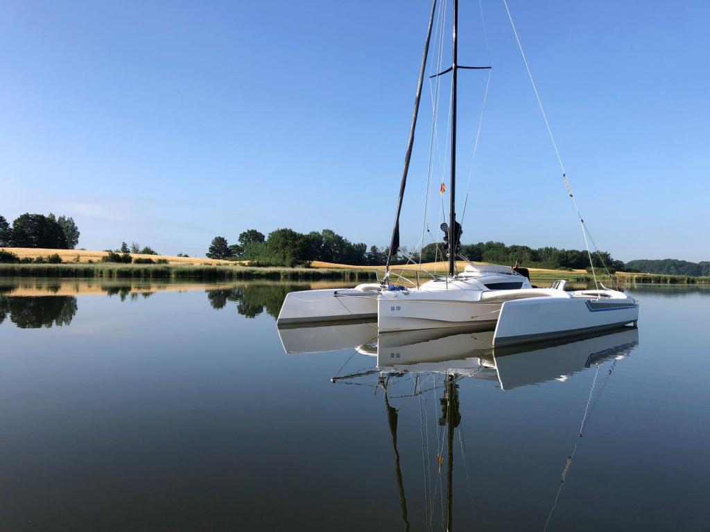 Dragonfly 25