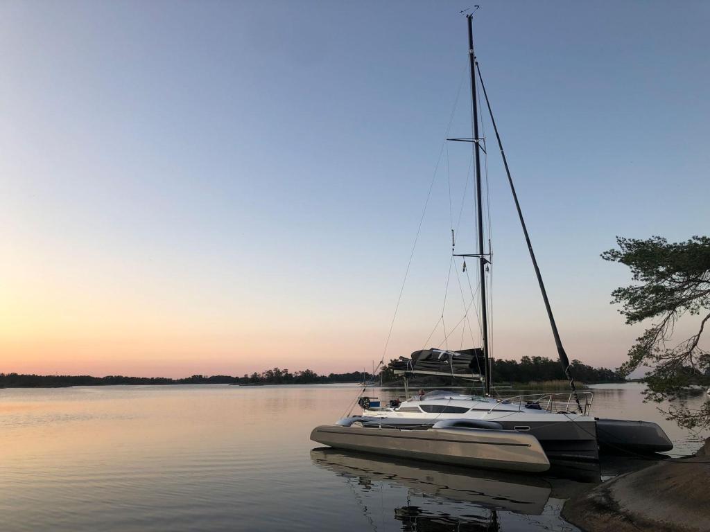 Dragonfly 28