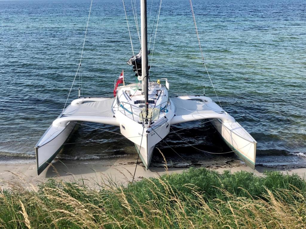 Dragonfly 28