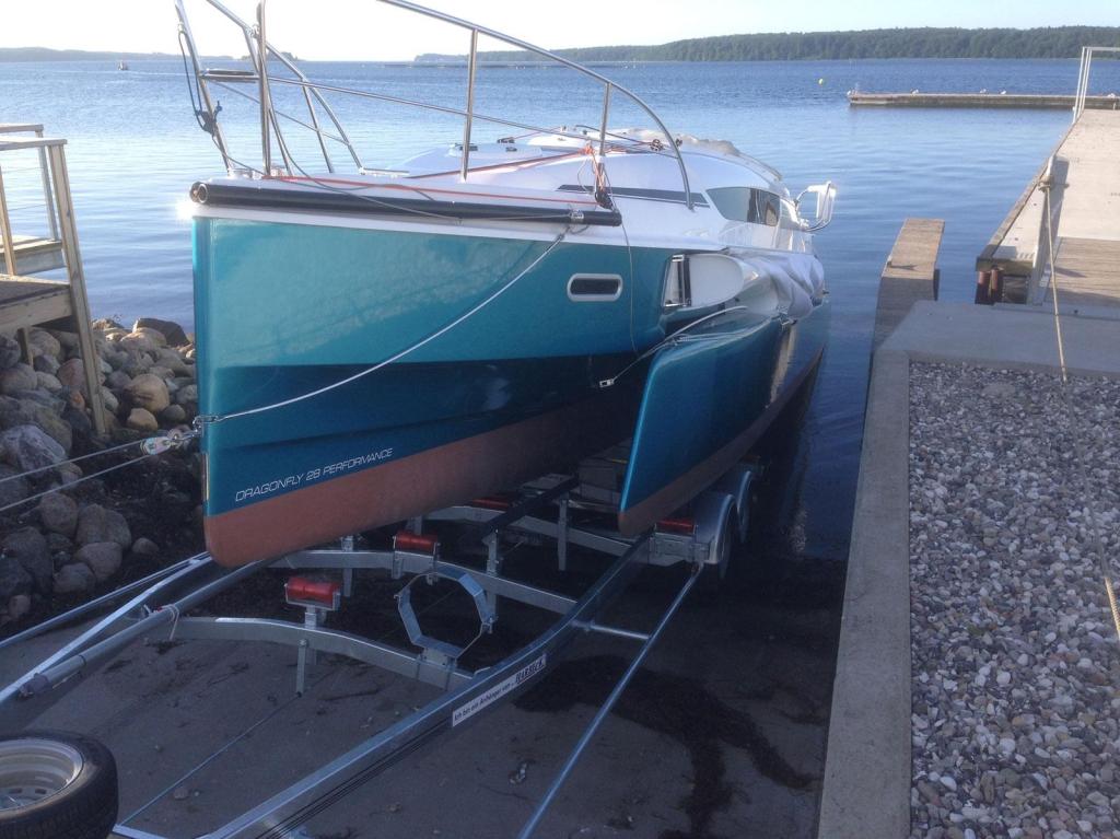 Dragonfly 28