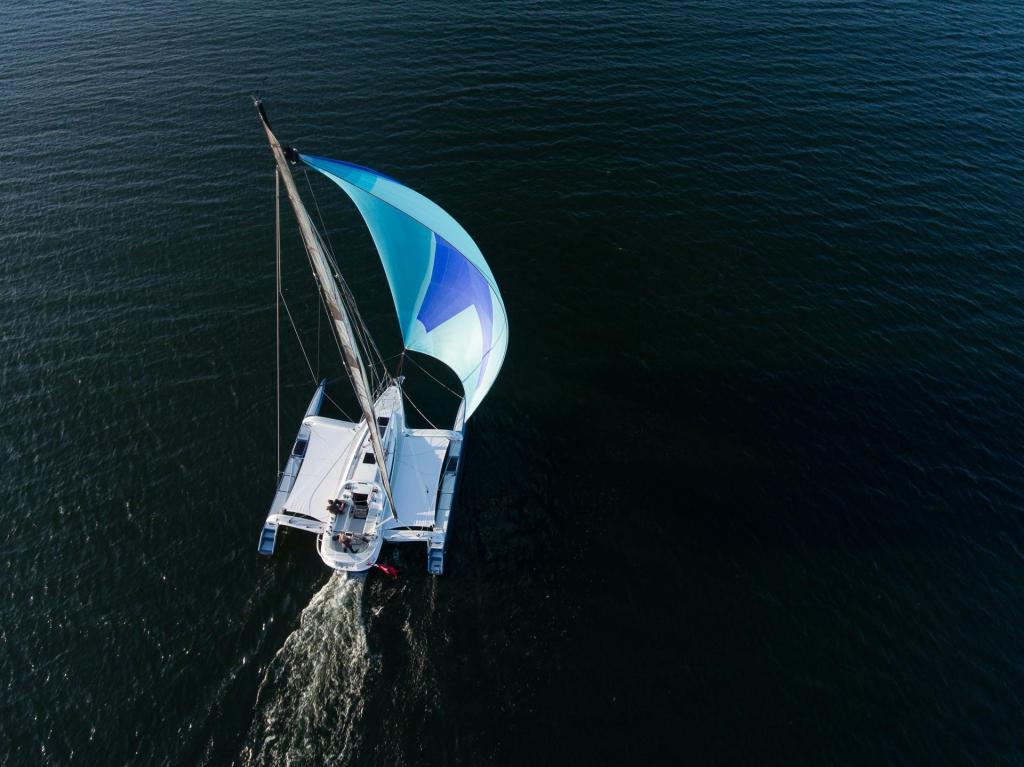 Dragonfly 32