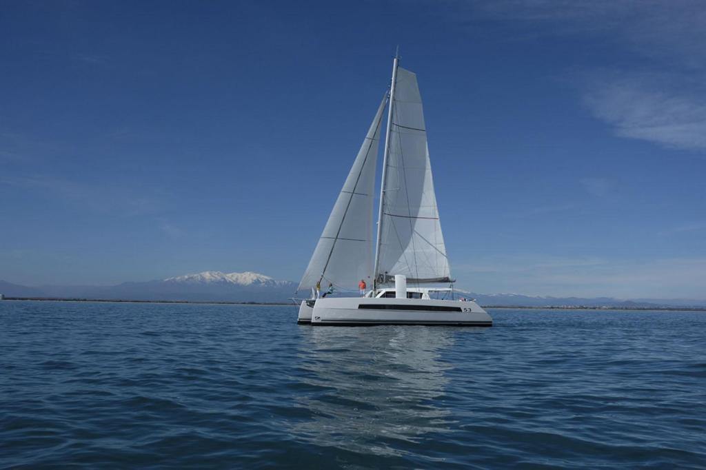Catana  53