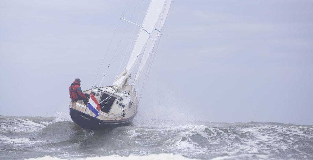 Saffier Sc 8 Cabin