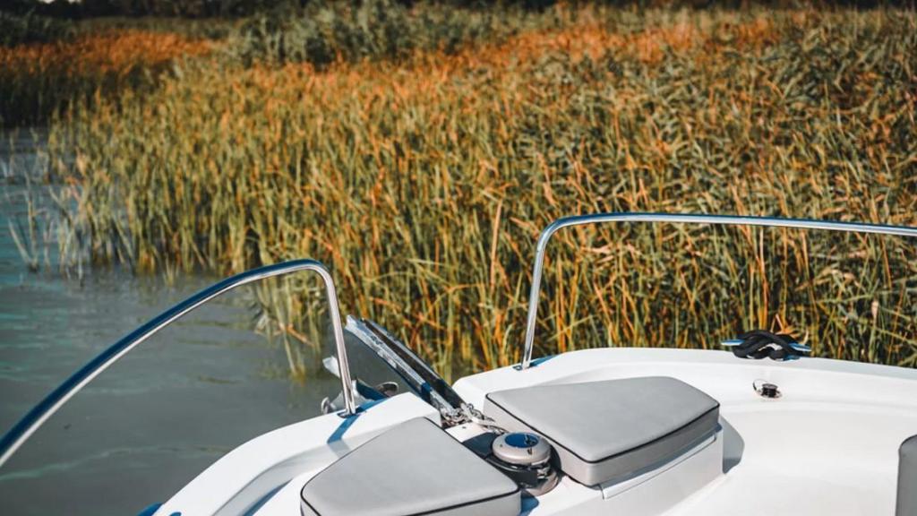 Delphia 10 Lounge Top