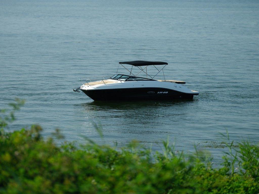 Sea Ray Sun Sport 230