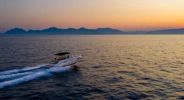 Sea Ray Sun Sport 250