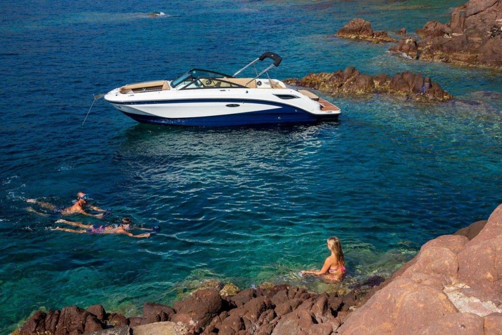 Sea Ray SDX 250
