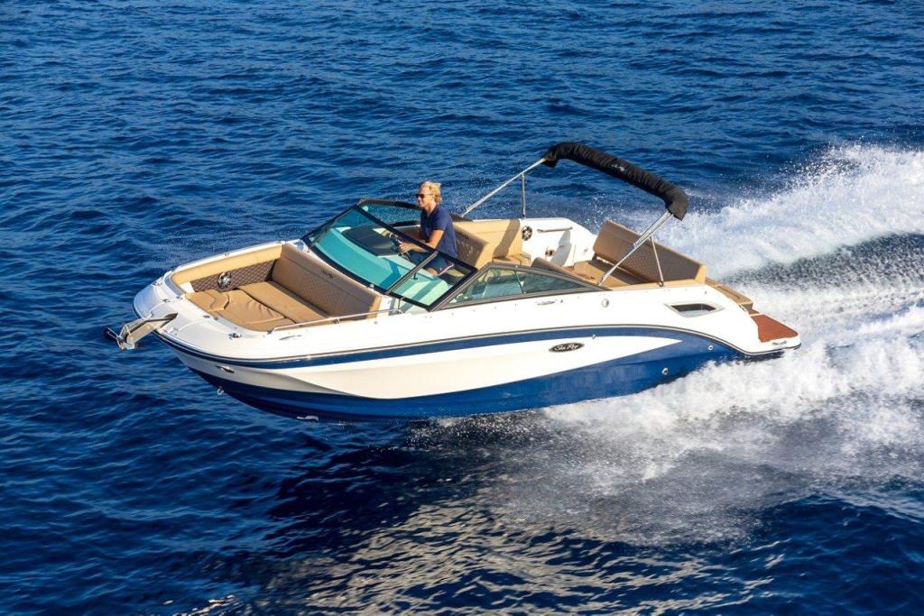 Sea Ray SDX 250