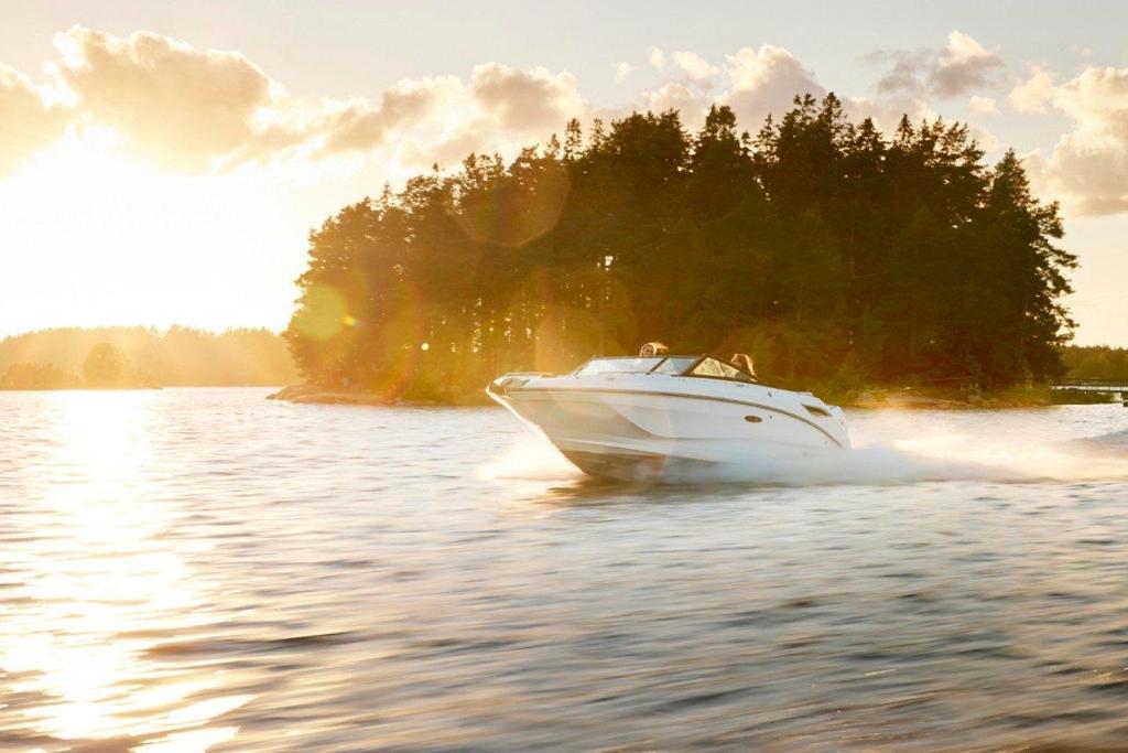 Sea Ray SDX 250 Outboard