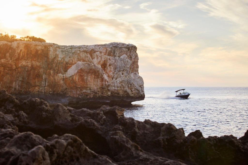 Sea Ray SDX 270