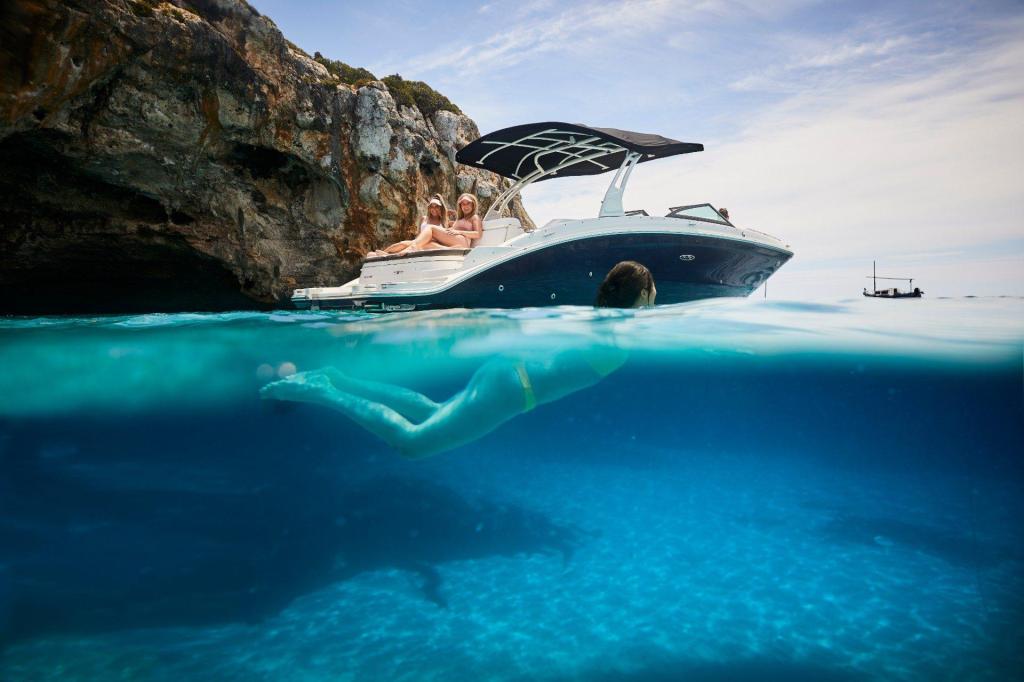Sea Ray SDX 270