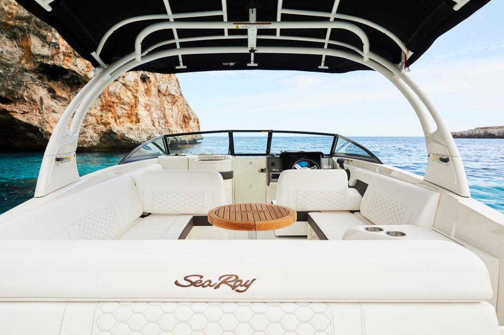 Sea Ray SDX 270